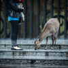 The rainy days continued.