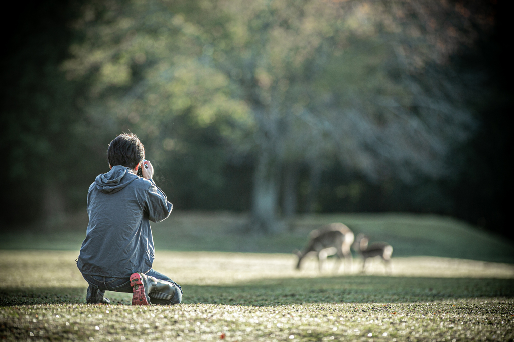 飛火野photographer