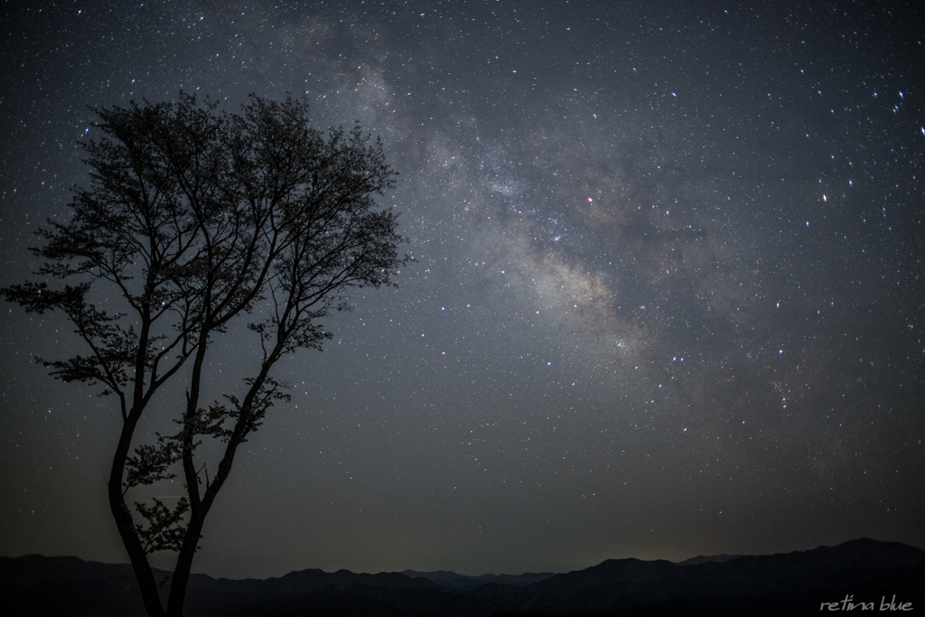 屏風岩公苑の夜　☆彡
