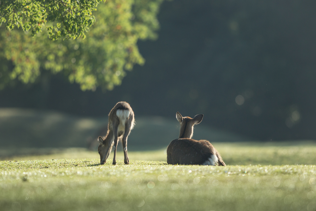 「もうすぐだねぇ」