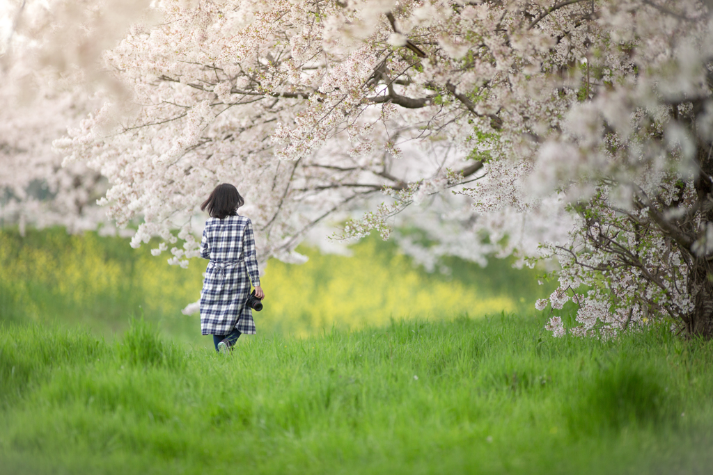 待ち遠しい季節