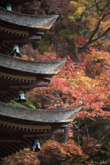 談山神社の紅葉