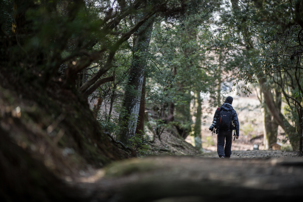 禰宜道を行くphotographer
