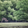 「うぅ～、からだが～」