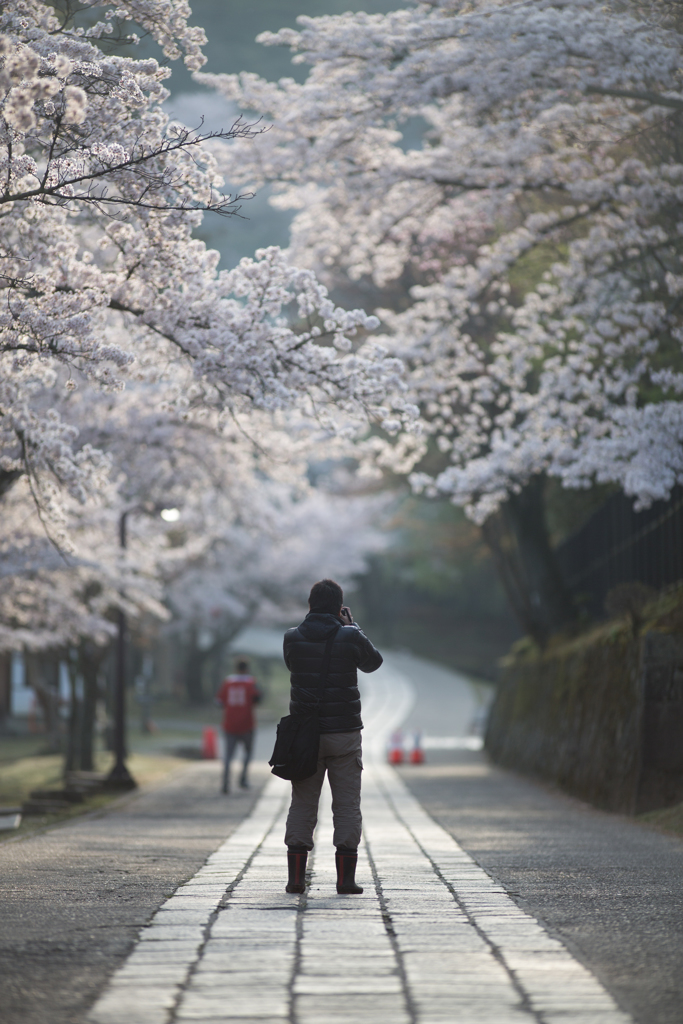 裏参道のphotographer