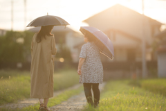 夕刻のあぜ道