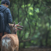 飛火野のボスも