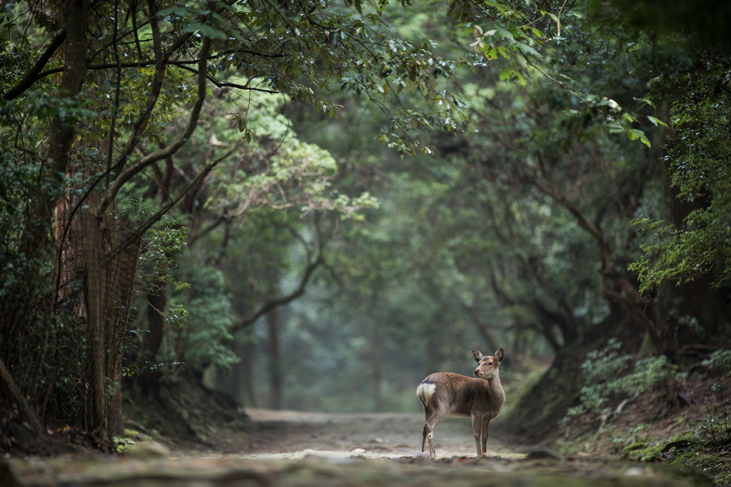 いつも、ここからはじまる