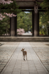 「春が待ち遠しいよ～」