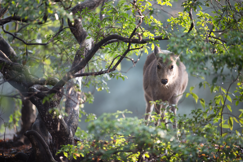 「まだ撮ってたん、兄ちゃん」