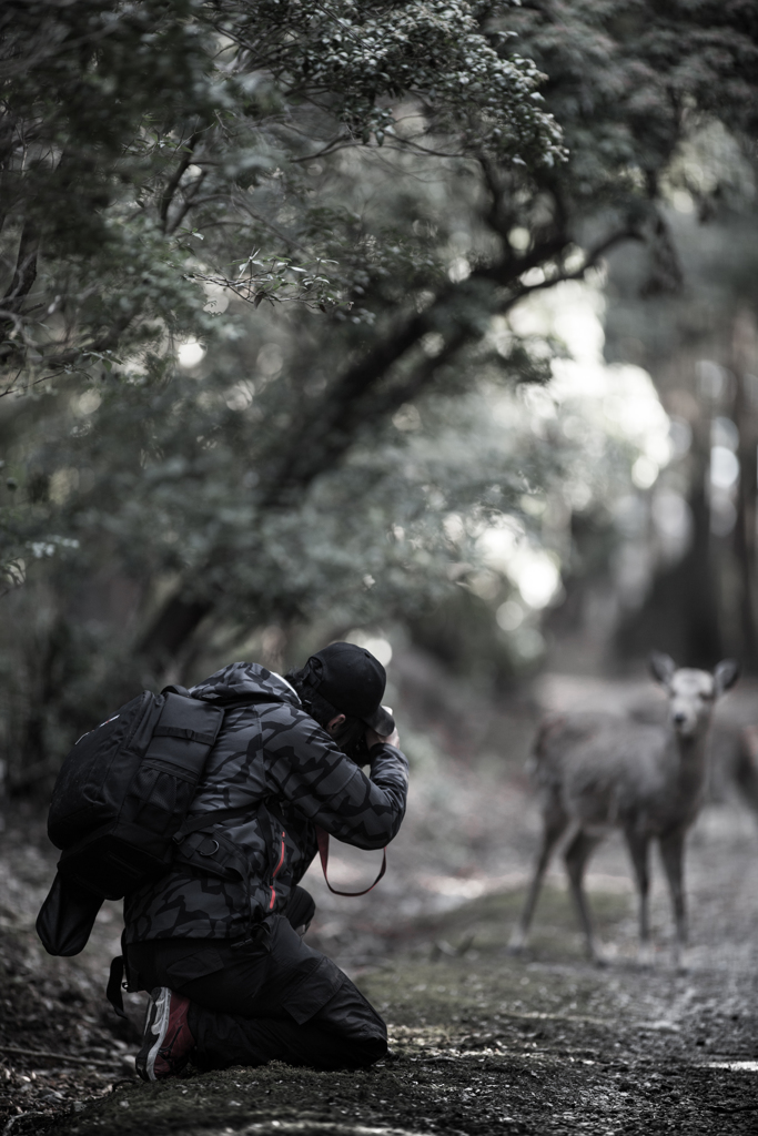 deer photographer 狙い