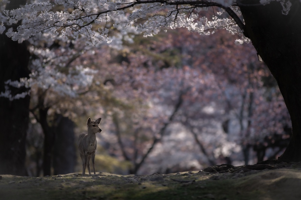 過ぎ去った季節