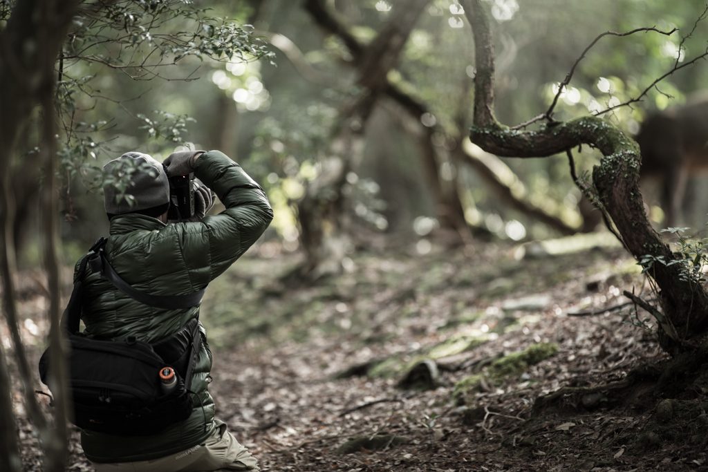 deep forest photographer
