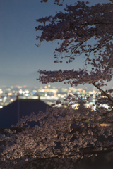 眠り覚める古都