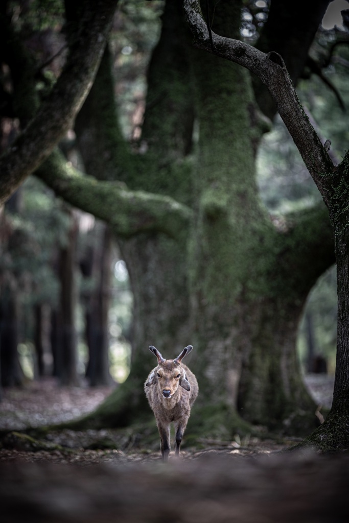 信頼の基に
