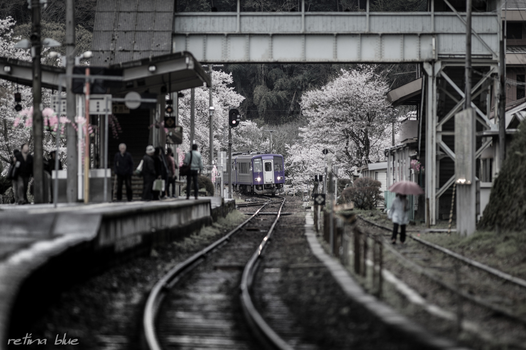 満開の笠置駅　Ⅱ