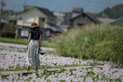 カワイイのないかな～