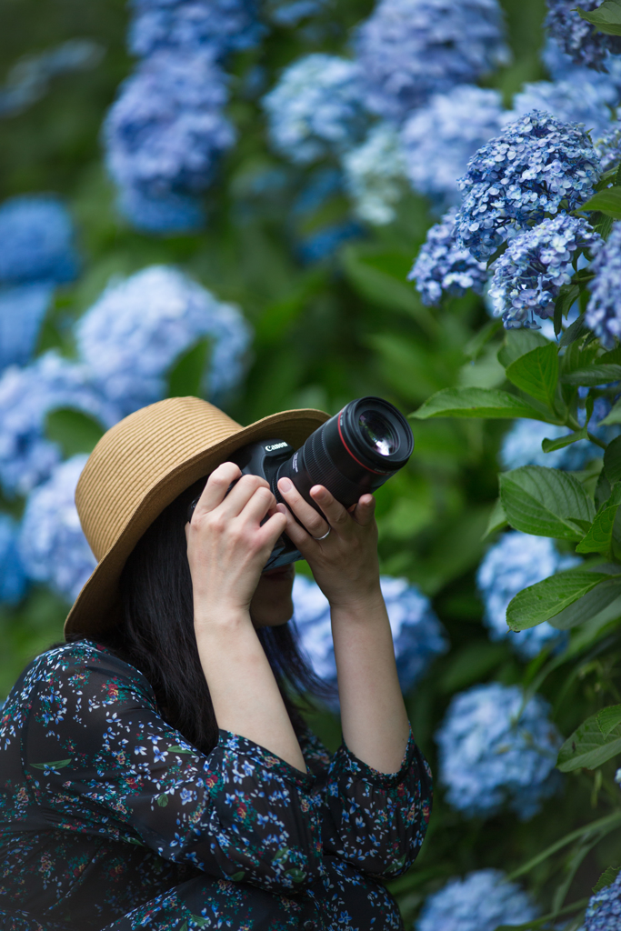 「この紫陽花が一番好き～」