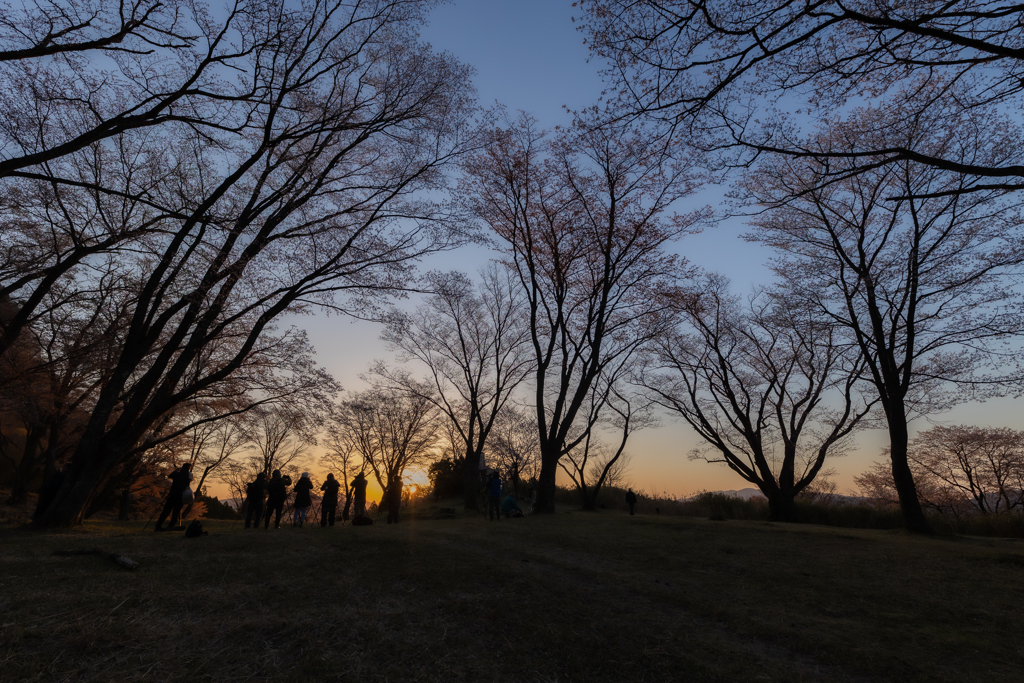 夜明けのphotographers