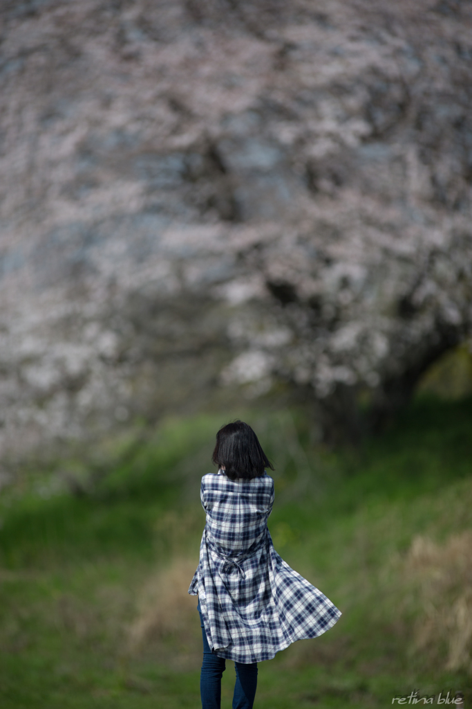 奥さんが風に吹かれたら