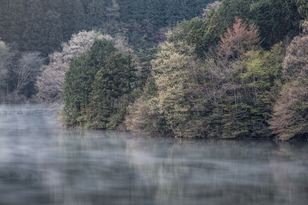 室生湖、春の彩り