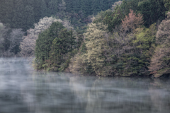 室生湖、春の彩り