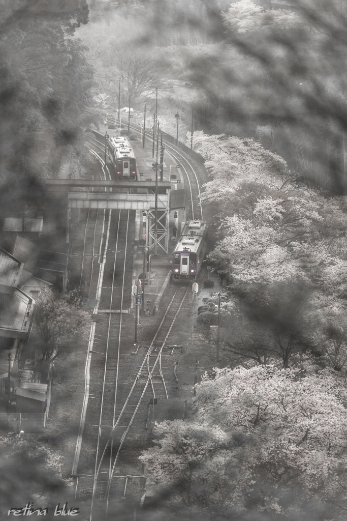 満開の笠置駅