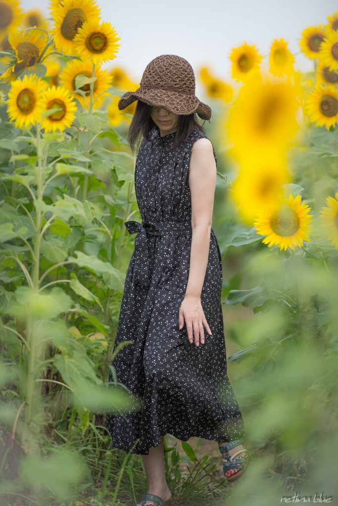 通りま～す
