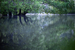 室生湖の朝