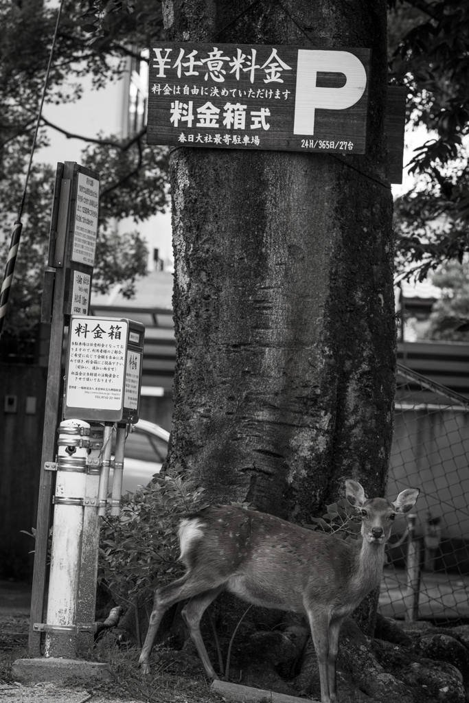 いつもお世話になっています