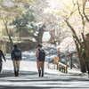 帰り道
