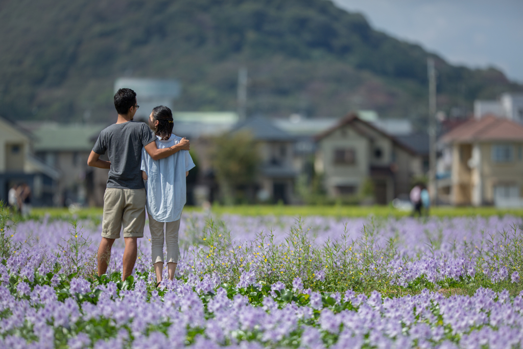 本薬師寺跡にて