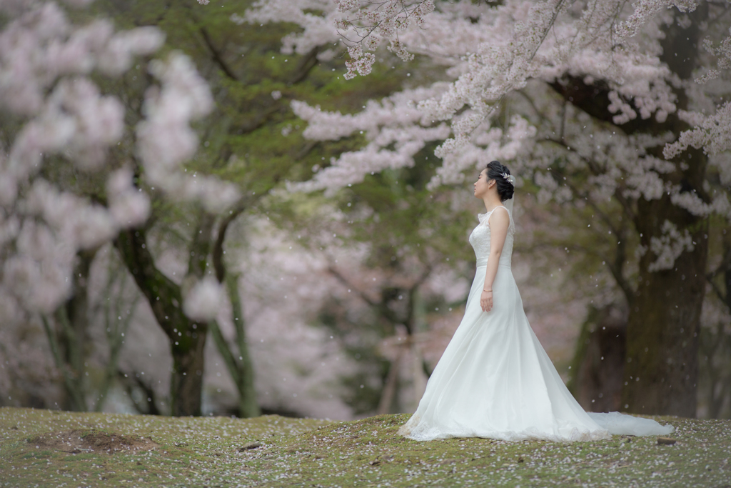 narakoto wedding Ⅰ
