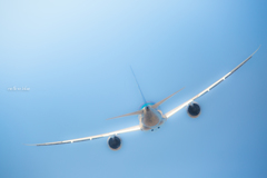 FLY HIGH and SKY HIGH 　