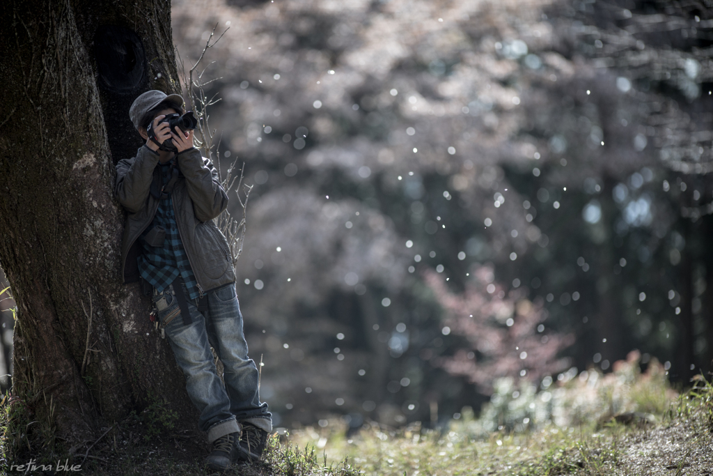 桜吹雪を撮る男