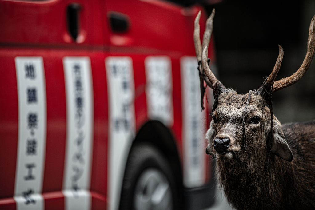 んっ、派手な車やなぁ