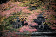 東大寺の言い伝え