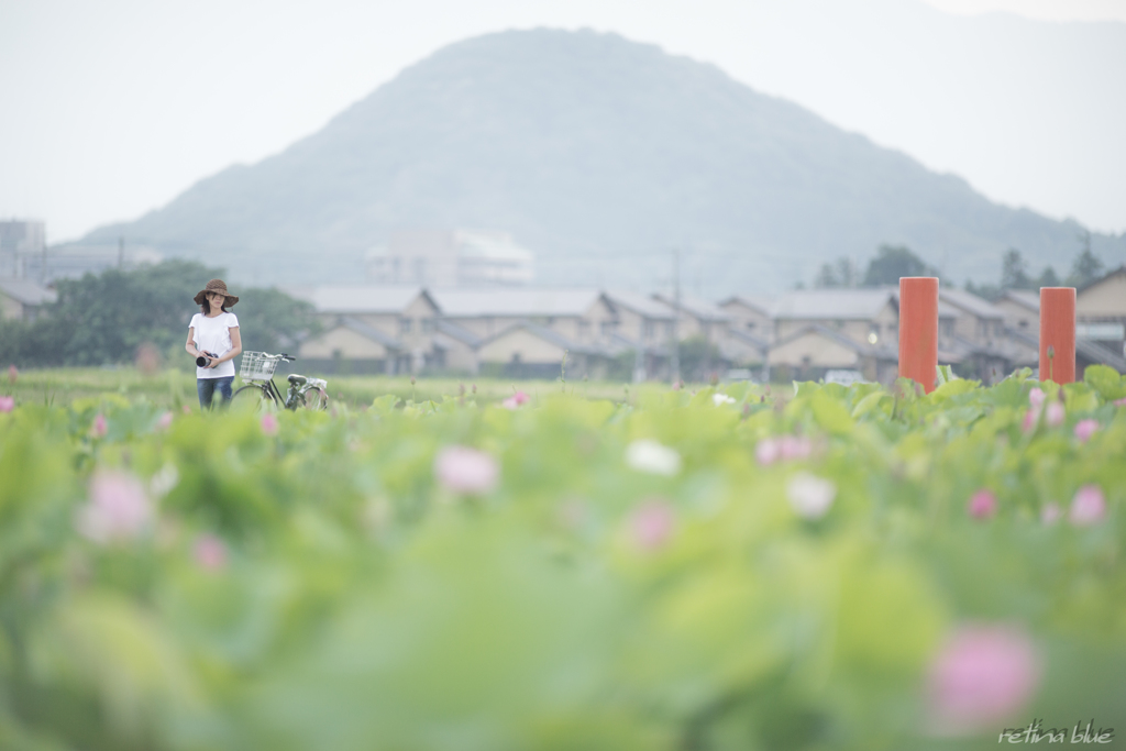 奥さんと畝傍山