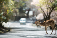陽気に誘われて・・・
