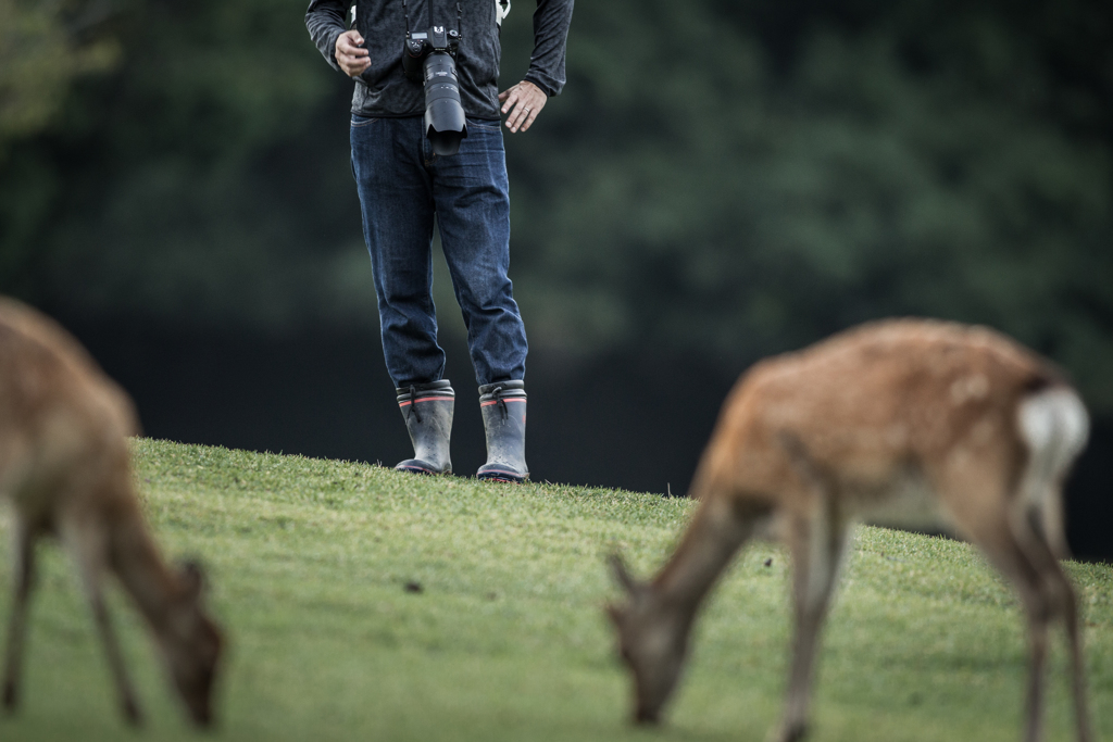 「さあて・・・」