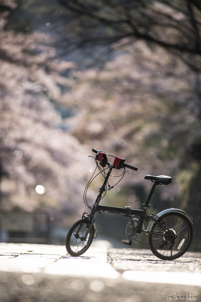 奈良公園での愛車です