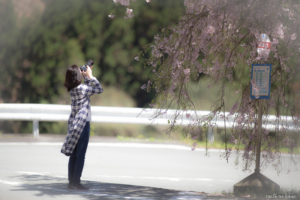 奥さんが風に吹かれたら