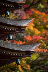 今日の談山神社