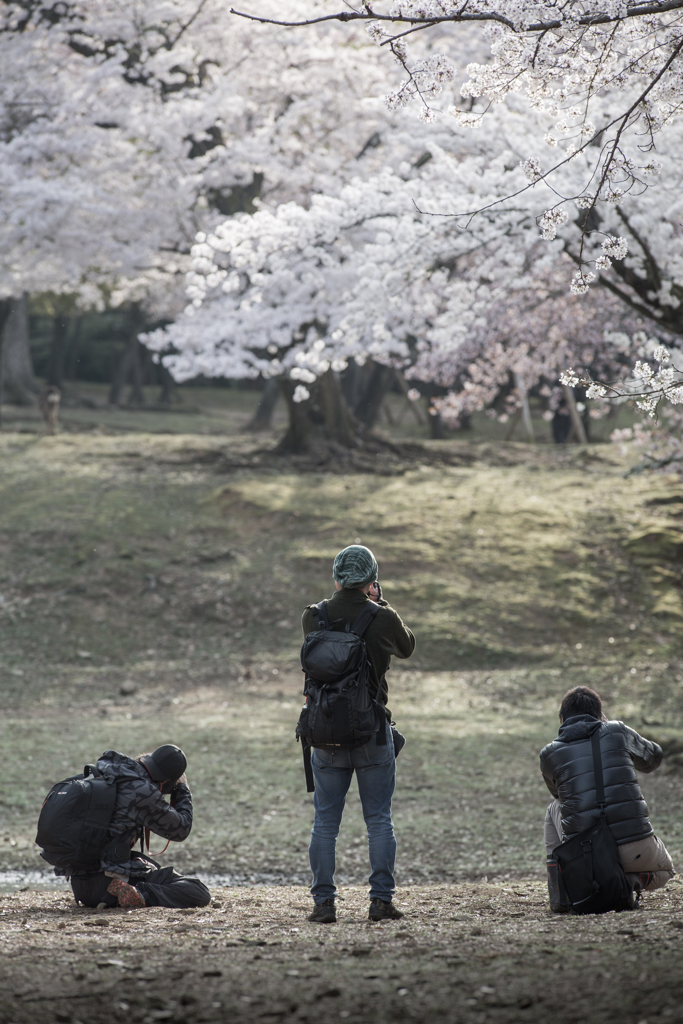 三銃士