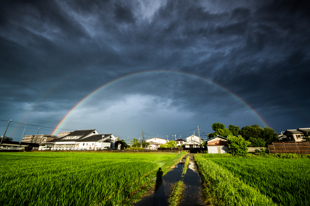 Double Rainbow