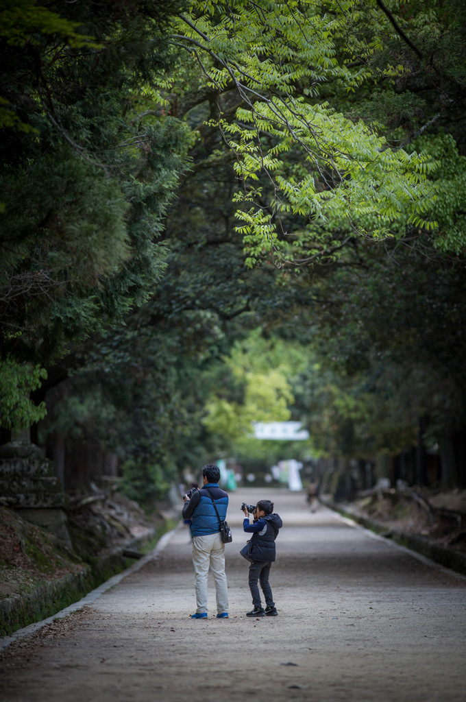 子供の日のphotographer