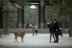 「转过来 」