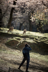 東塔跡のphotographer