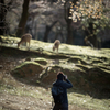 東塔跡のphotographer