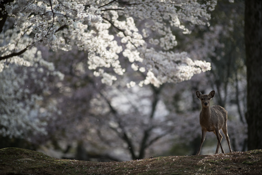 「ここで、ええんかな」